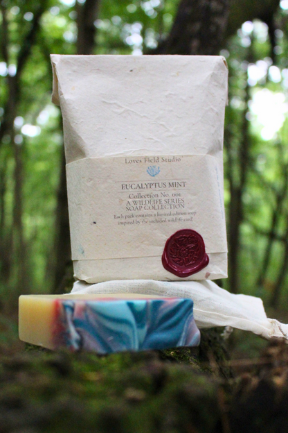 A kraft paper pouch labeled 'Loves Field Soap Eucalyptus Mint Collection, with a red wax seal stands on a mossy forest floor, with a marbled blue, yellow, and swirled blue and red soap bar resting in front of it.
